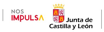 Junta de Castilla y León patrocina Titirimundi  ::  Titirimundi